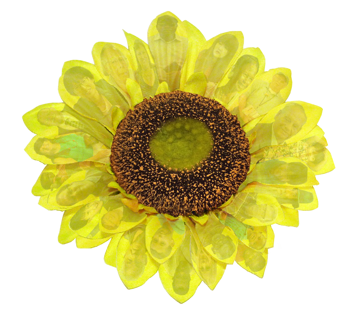 Fr Walter Munna Website Logo - sunflower part